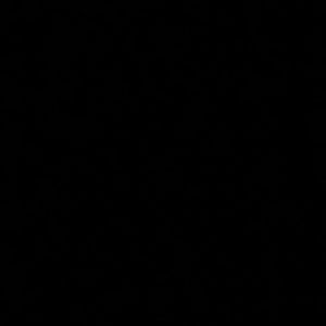 Meet your Posher, Bella